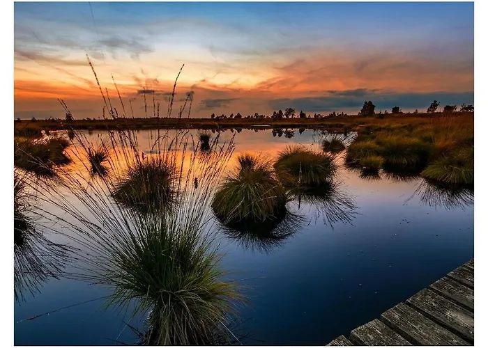 Summer House Eifel Comfortable Σπίτι διακοπών *